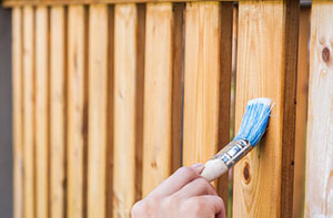 Staining Garden Fencing Walmer