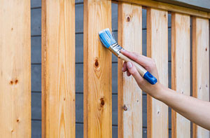 Staining Garden Fencing Rhyl